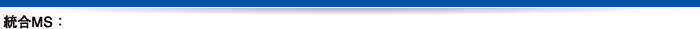 統合MS
